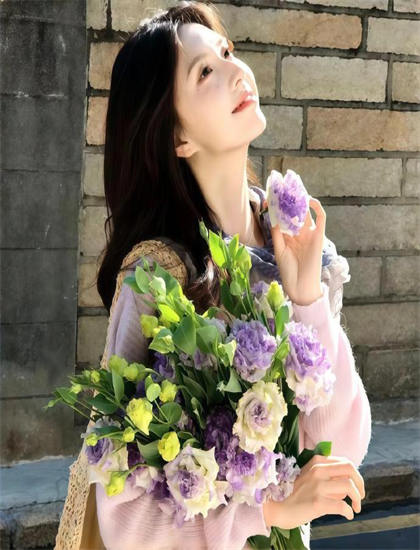 月半爱丽丝电影完整版免费观看-甄子丹好莱坞新电影口碑获赞